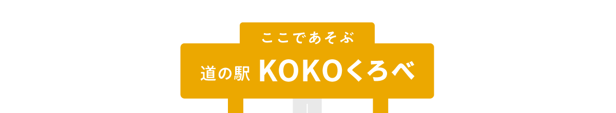 ここで遊ぶ