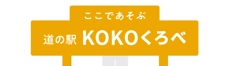 ここで遊ぶ