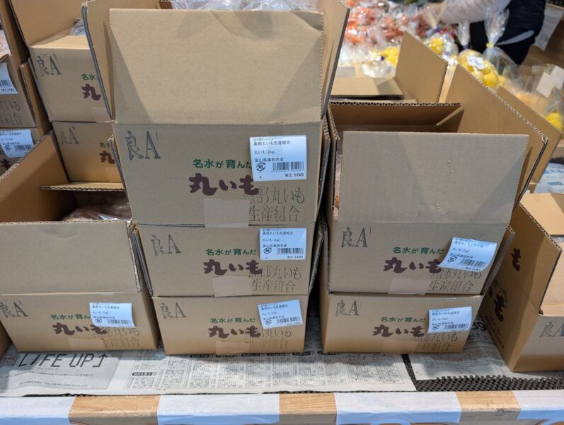 名水が育んだ特産丸いも販売開始 | お知らせ | 道の駅 KOKOくろべ